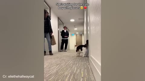When animals and humans form a special bond!- Funniest Animals and Pets