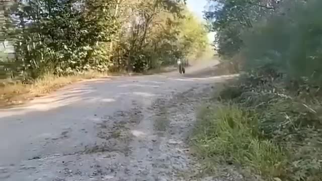 flying motorcycle