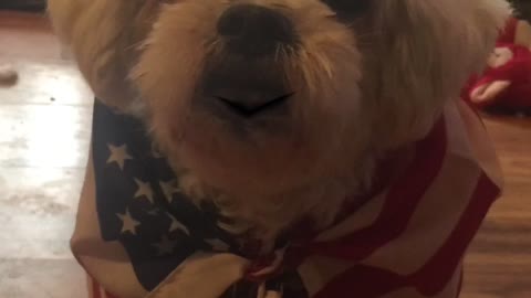 Loulou, he warns his patriot men not to do this 🇺🇸💙🇺🇸🇺🇸😳