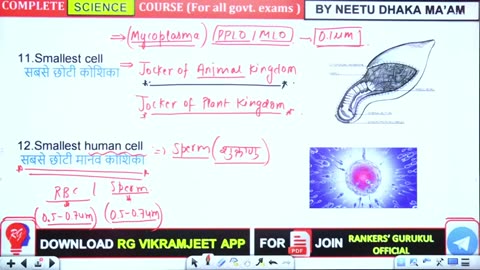 3 cell biology 2