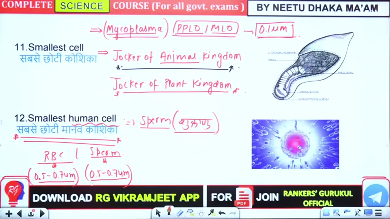 3 cell biology 2