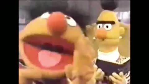 Because I Got Ernie and Bert High