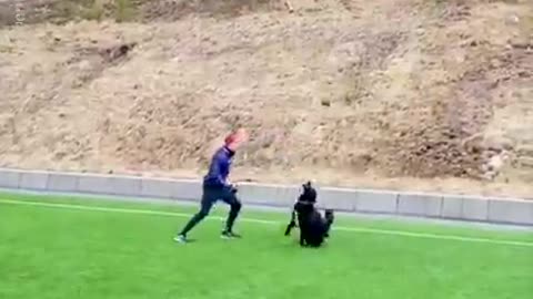 Man playing volleyball with Dog