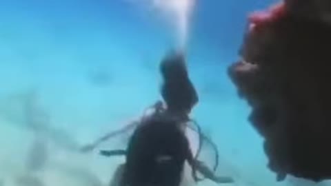 Literally rolling in the deep