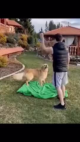 When you prank your best friend (this is great)🤣🤣