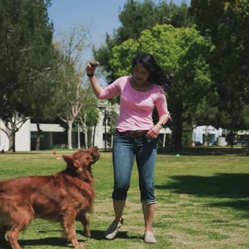 Woman playing with dog having fun