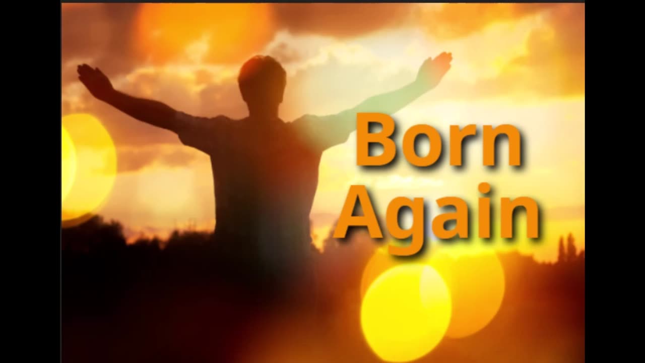 The Lion's Table: Born Again