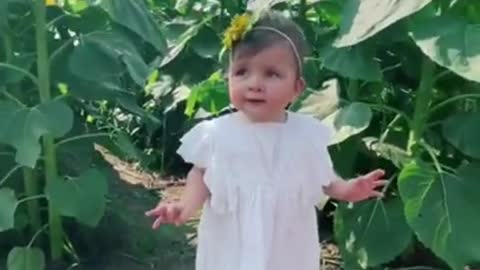 cute-and-funny-baby-videos-shorts