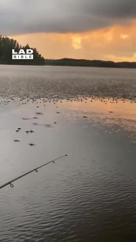 Watching the rain roll in