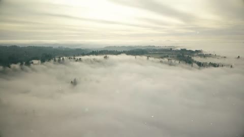 Aerial Nature & Landscape