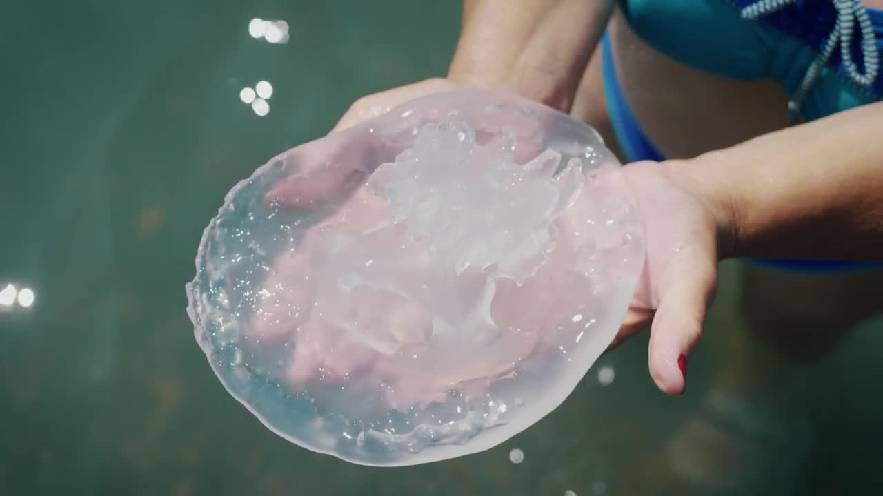 Big jellyfish in the hands against the sea