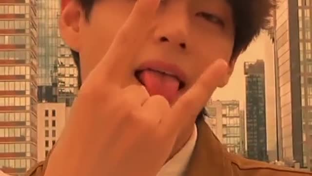 Rawr tiktok