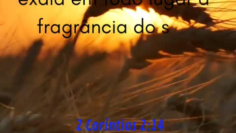 Fragrância Do Seu Conhecimento 2 Coríntios 2:14 #shorts