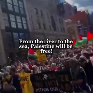 Thousands of people took to the streets in New York to support Palestine