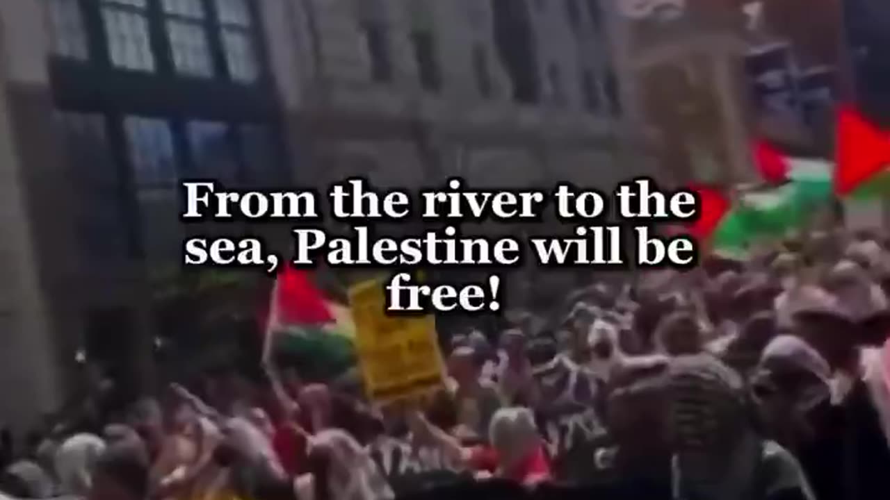 Thousands of people took to the streets in New York to support Palestine