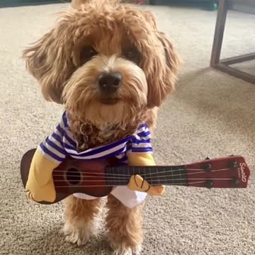 Newest member of the band