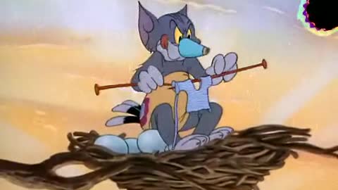 Tom and Jerry DVD Full collection