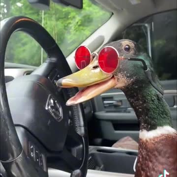 This is quality 😂