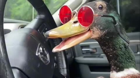 This is quality 😂