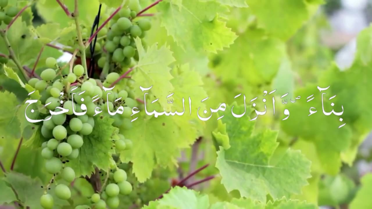 Surah Al-Baqra Ayha #19-23 with Urdu Translation