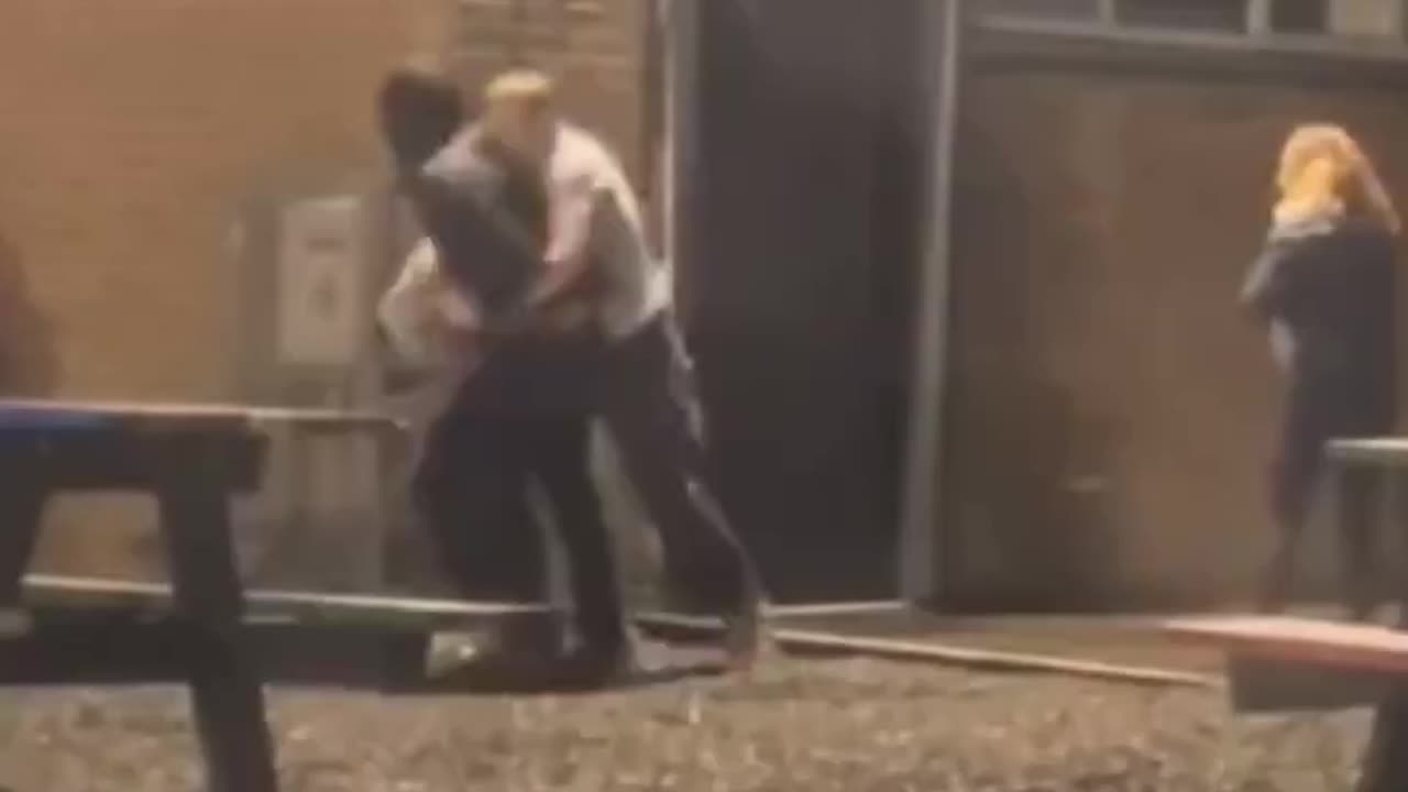 White Man saves a woman from a nigger.