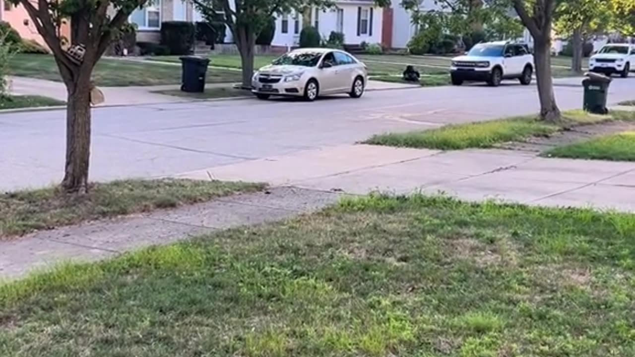 8 yr old drives