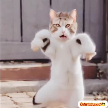 Funny trending🔥🔥 video