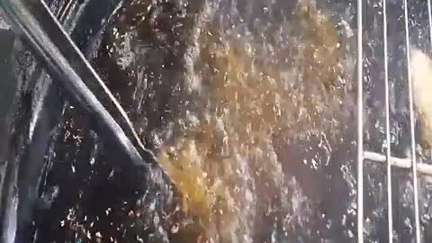 Fast food, chinese