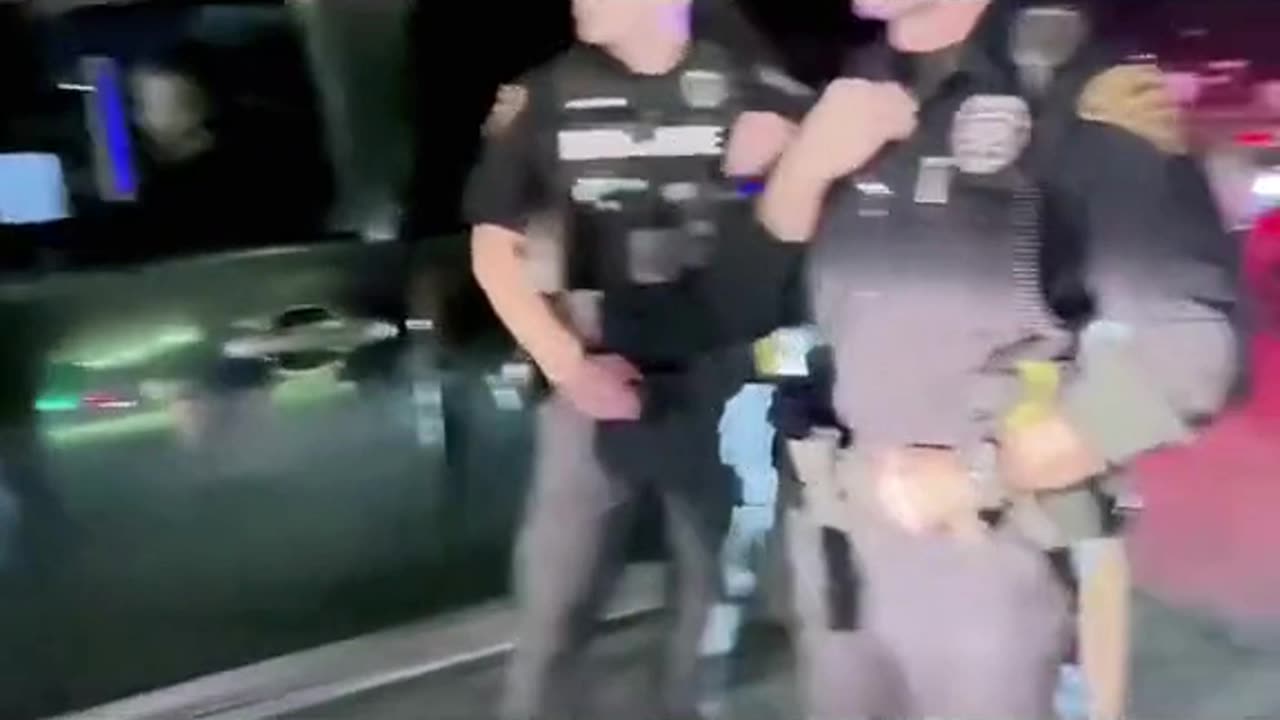 Cops stop the wrong car and get swarmed. cops owned