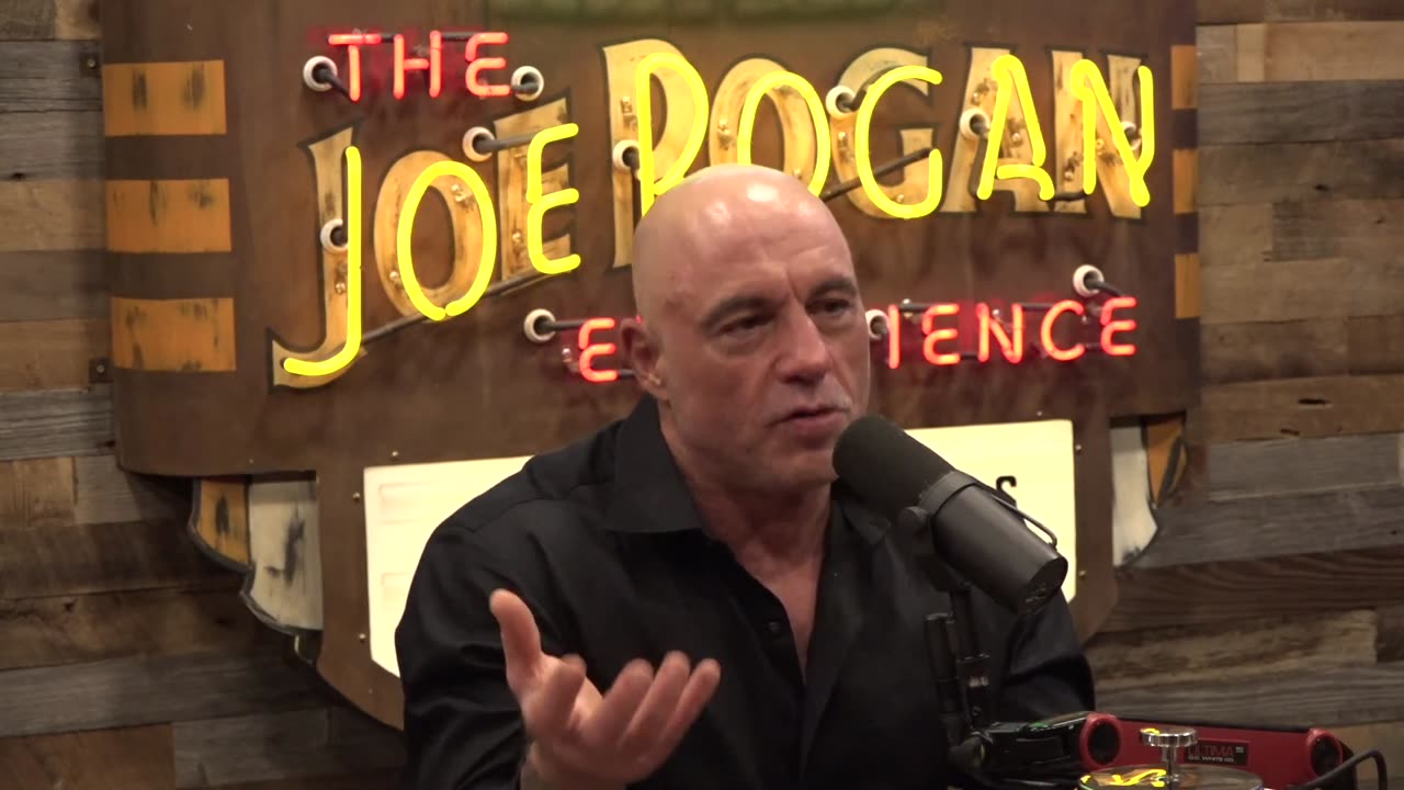 Joe Rogan Experience - Donald Trump