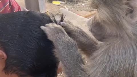 Monkey loves to play with my hair and I exactly like it