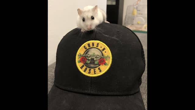 Hi! I'm Miso and welcome to my channel ^^