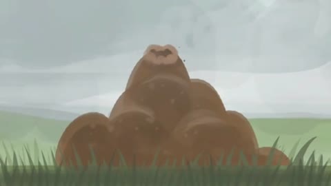 Why isn't the world covered in poop PART 4