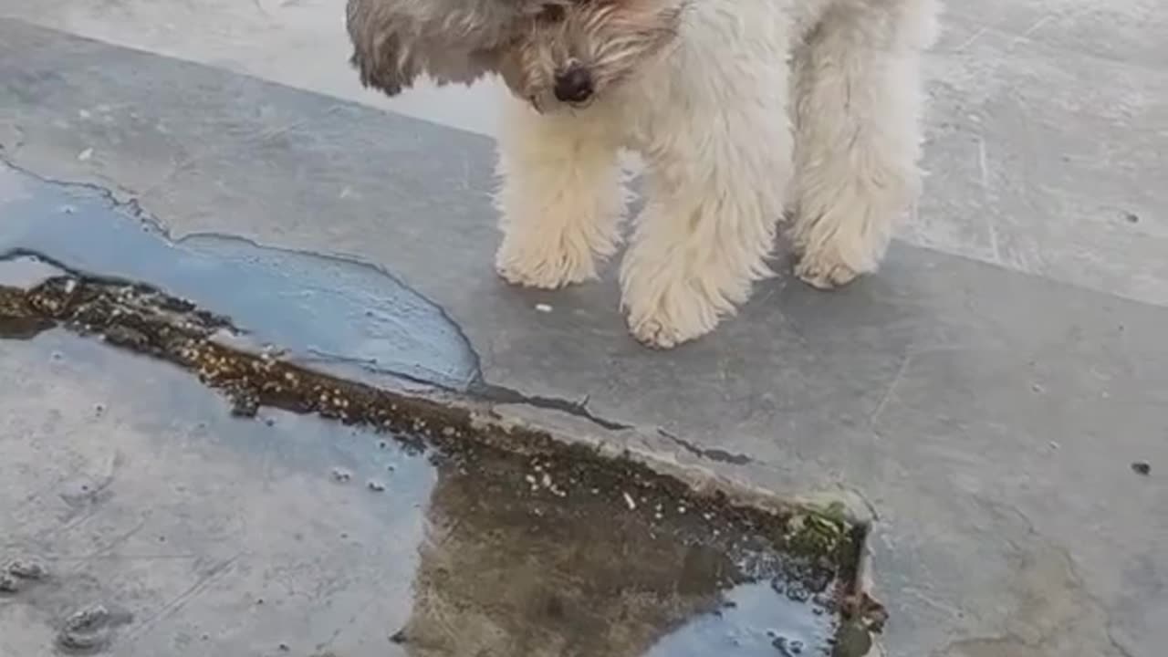 Hey is that me?