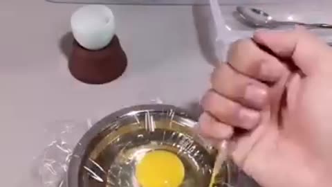 how a chick born from an egg