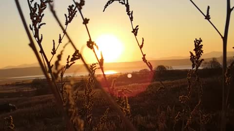 Dawn on the hill.