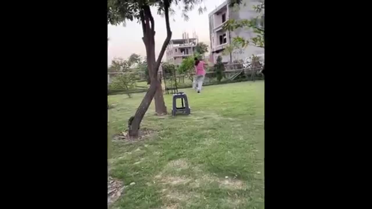 Cute animals
