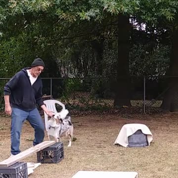 Circuit Training and Practice shorts 4