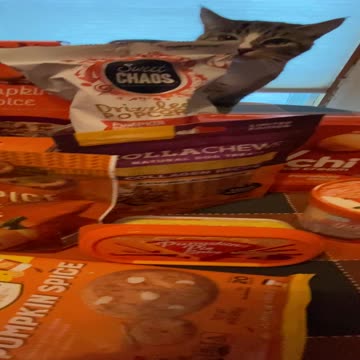 Pumpkin Spice Season Is Here!