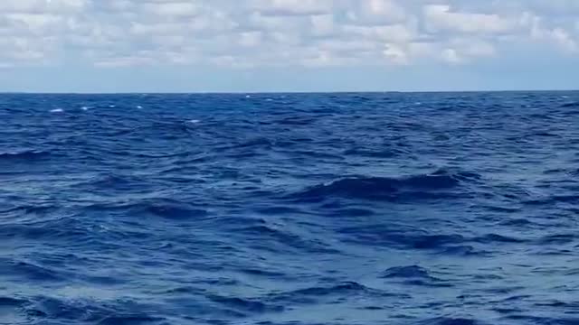 The Atlantic Ocean #sailing #wavesounds #oceansounds #clouds