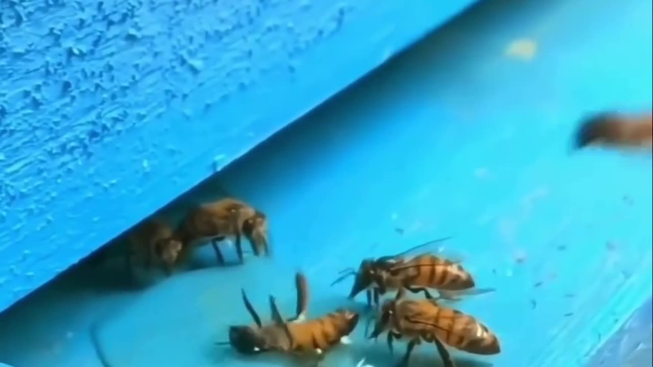 Hard times will always reveal true friends! 🐝