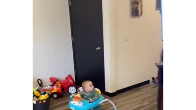 Cute chubby baby Funny video