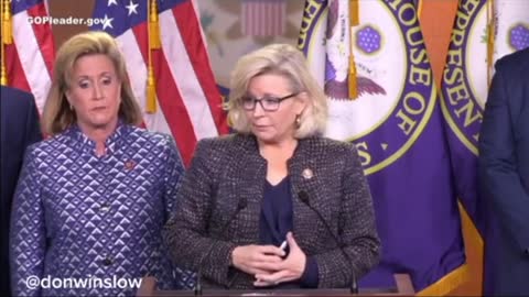 Liz Cheney on Democrats Killing Babies (2019)