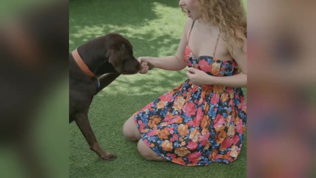 A girl training a dog