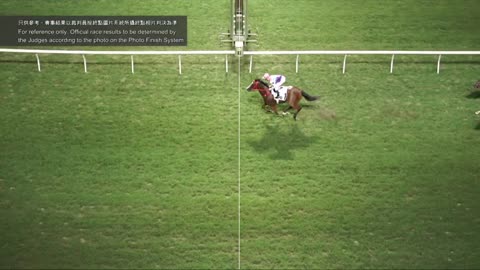 Horse_Race_2022060107_Chinese