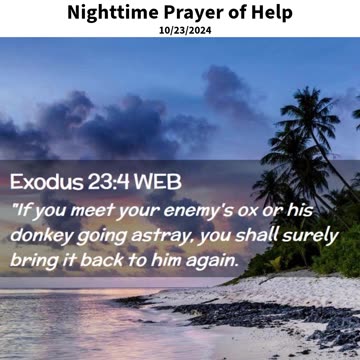 ighttime Prayer of Help #youtubeshorts #grace #jesus #mercy #faith #fyp #trust #joy #blessed #love