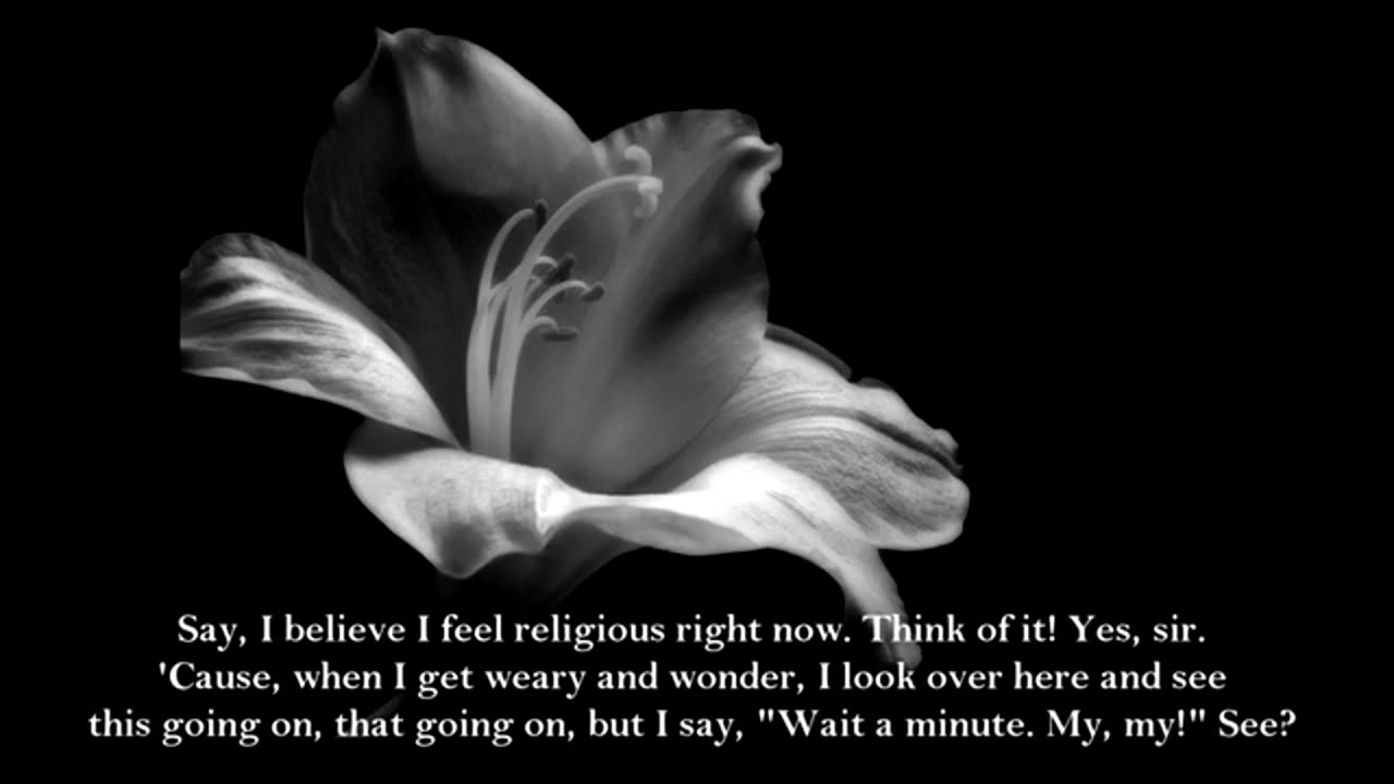 Jesus, the Lily of the Valley