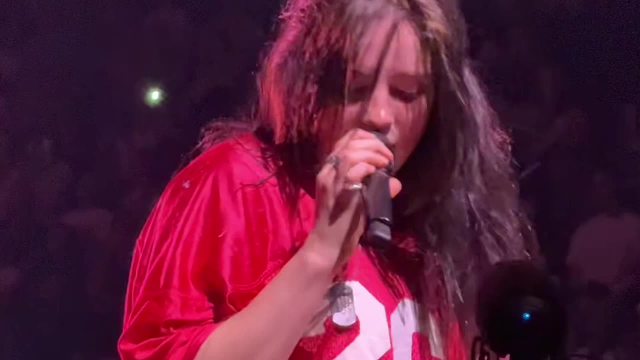 Billie Eilish crowd sings the viral cat version 😸