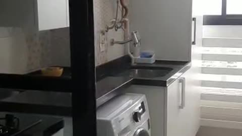 Apartamento a venda todo decorado e com eletros