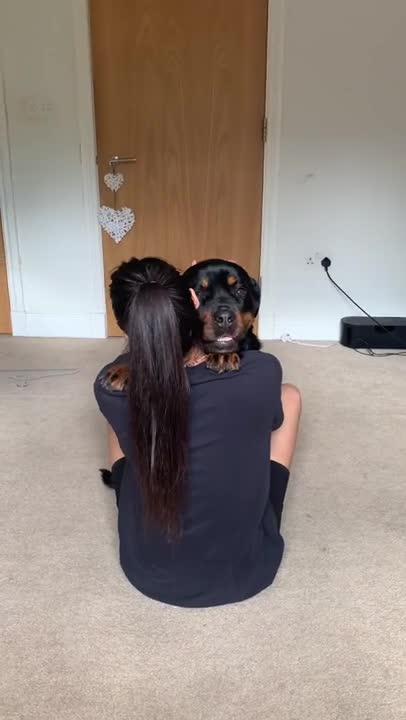 Dog funny videos🤣😂 || cute dog || Dog recation ||#shorts